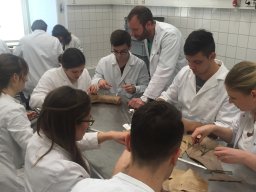 Ambulanztrainer 2015